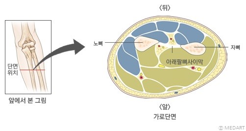 클린짐휘트니스 이미지