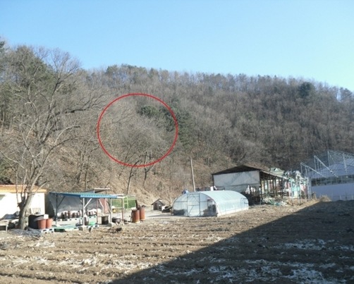 광판리 이미지