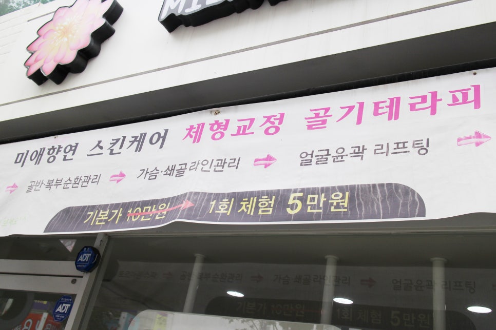 미애향연 이미지