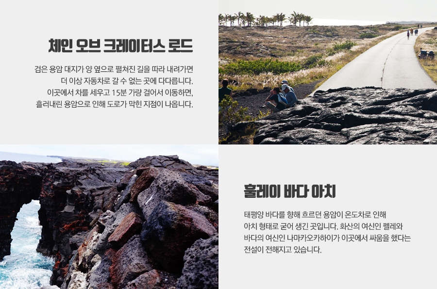 글로벌투어여행사 이미지