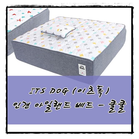 이츠아일랜드 이미지