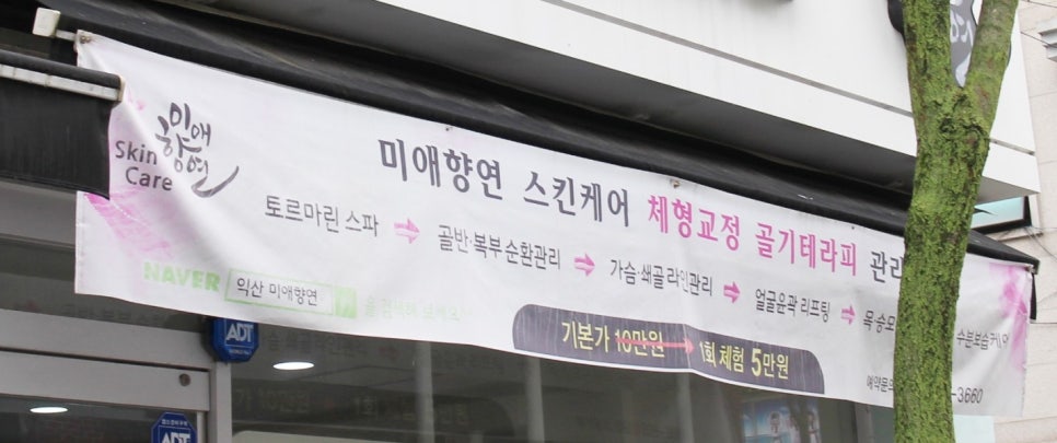 미애향연 이미지