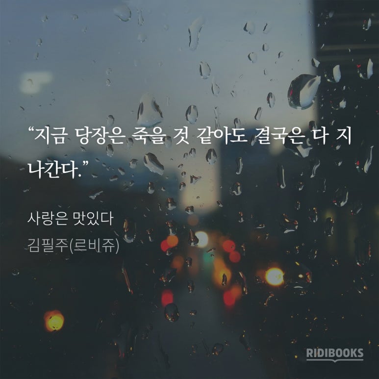 르비쥬 이미지