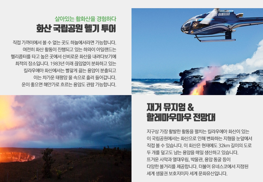 글로벌투어여행사 이미지