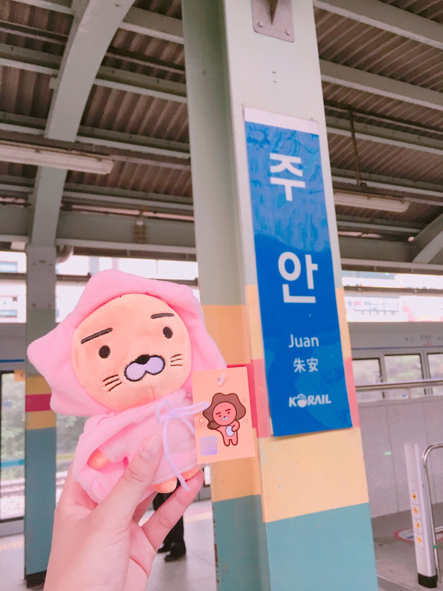 족발있슈 이미지