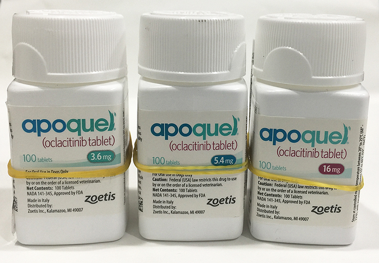 [인천동물약국] 2017.07.20 신규제품입고안내 아포퀠 3.6mg, 아포퀠 16mg, 세민트라, 개 고양이 곰팡이 백신 ...