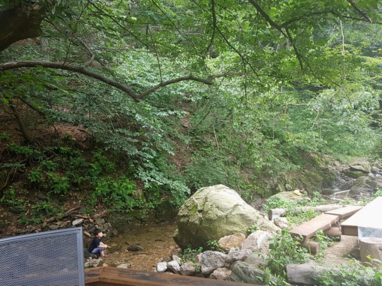 코나헤이븐 이미지