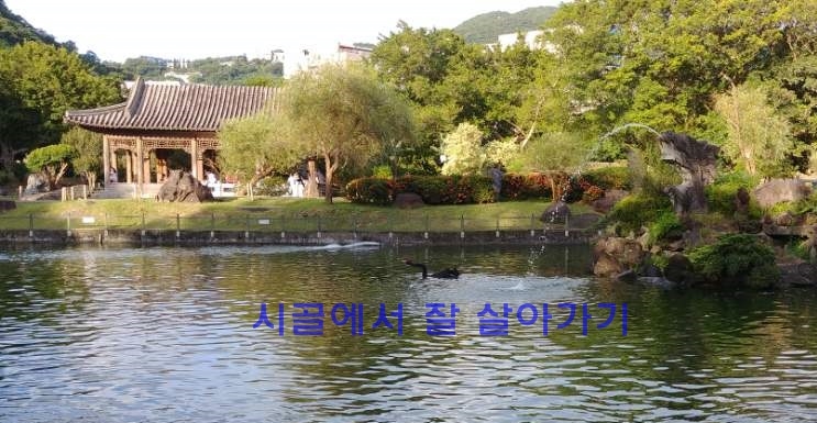 이행민박 이미지