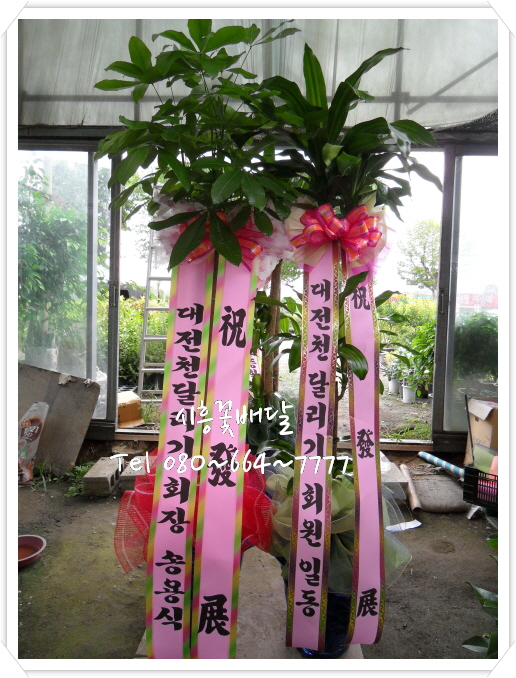 시흥우리장례식장 이미지