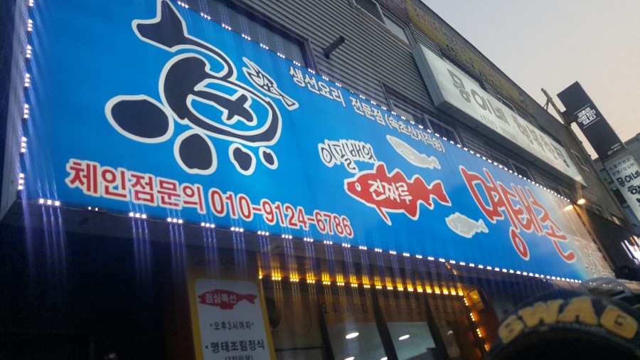 이필배의진짜루명태촌 이미지