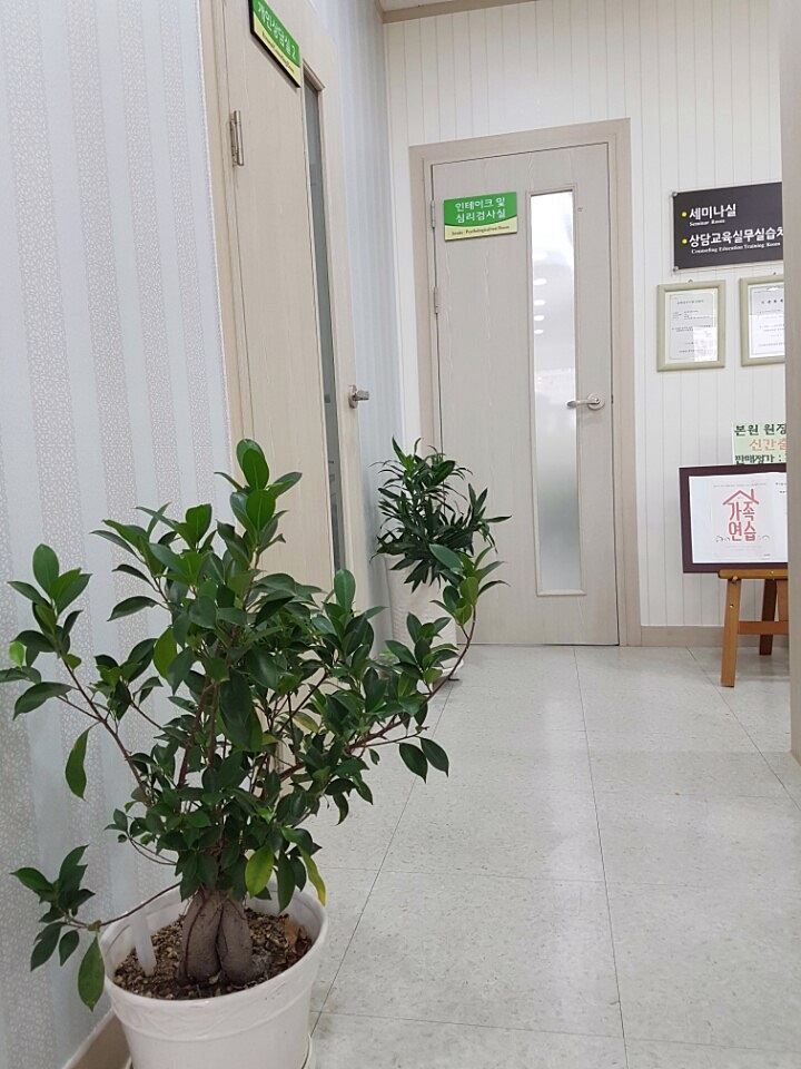 효제가족심리상담센터 이미지