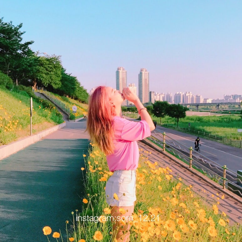 엔플럼 이미지