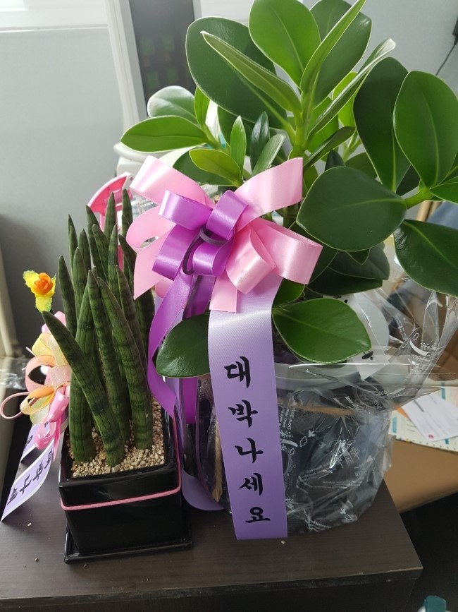 성원당구장 이미지
