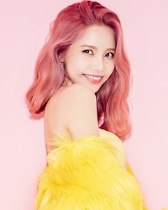 엔플럼 이미지