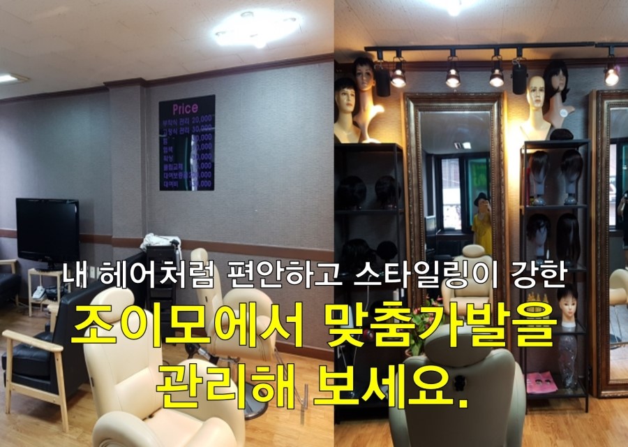 조이모 이미지