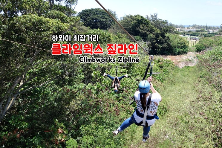 알로하웍스 이미지