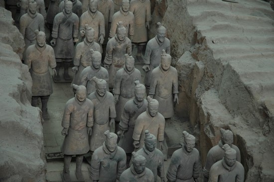 삼식육계 이미지