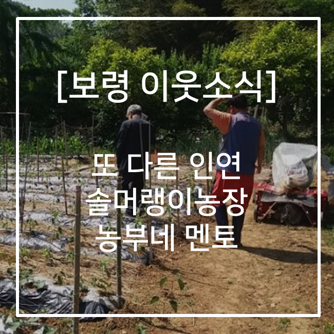 솔머랭이농장 이미지