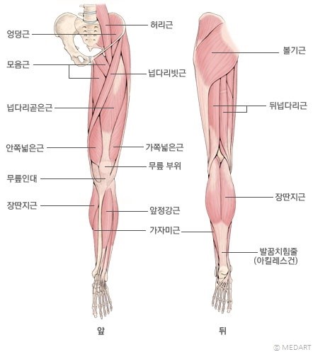 클린짐휘트니스 이미지