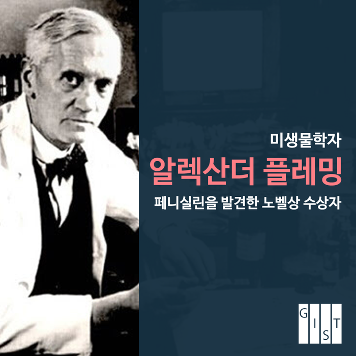 한인연 이미지