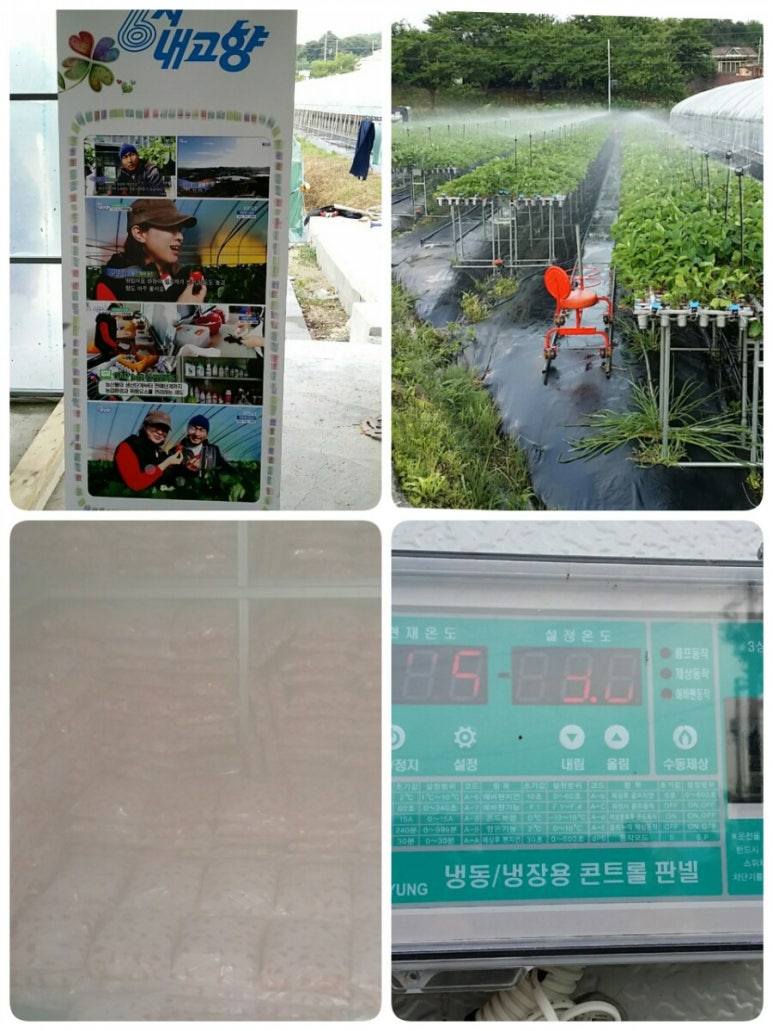 샬롬CCTV 이미지