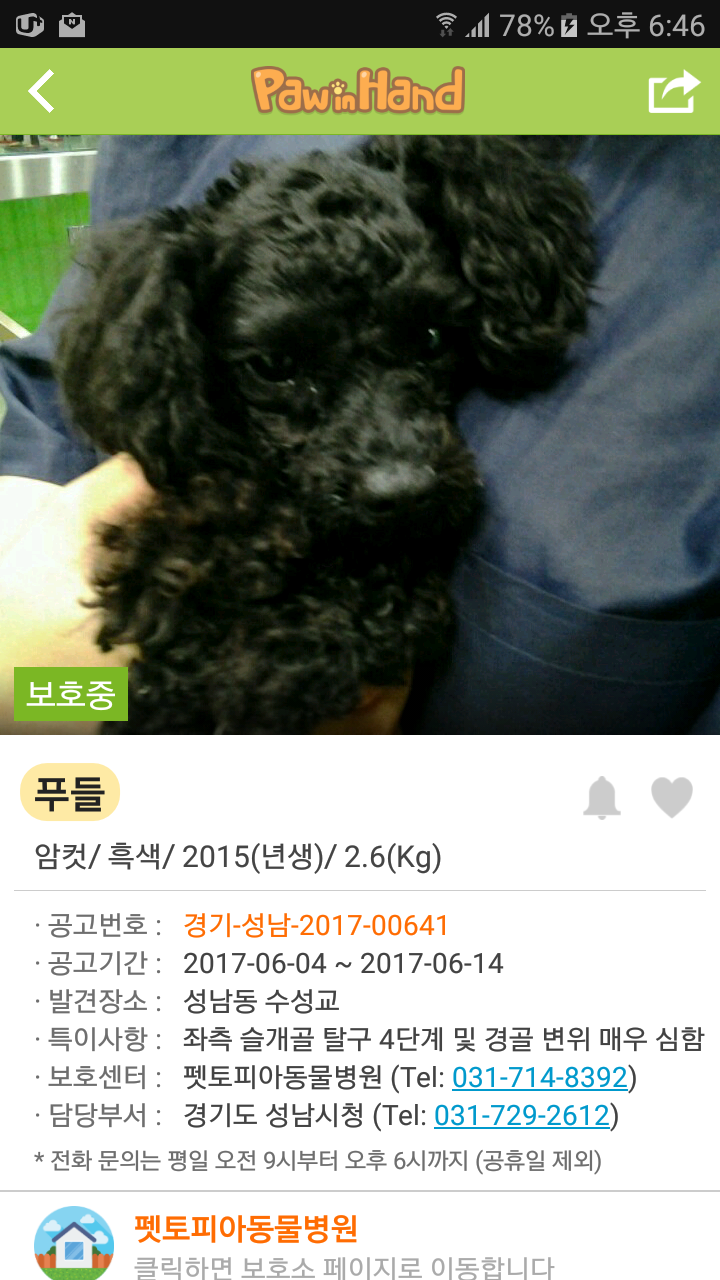 펫토피아 이미지