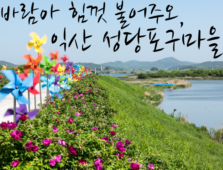 세곡자전거 이미지