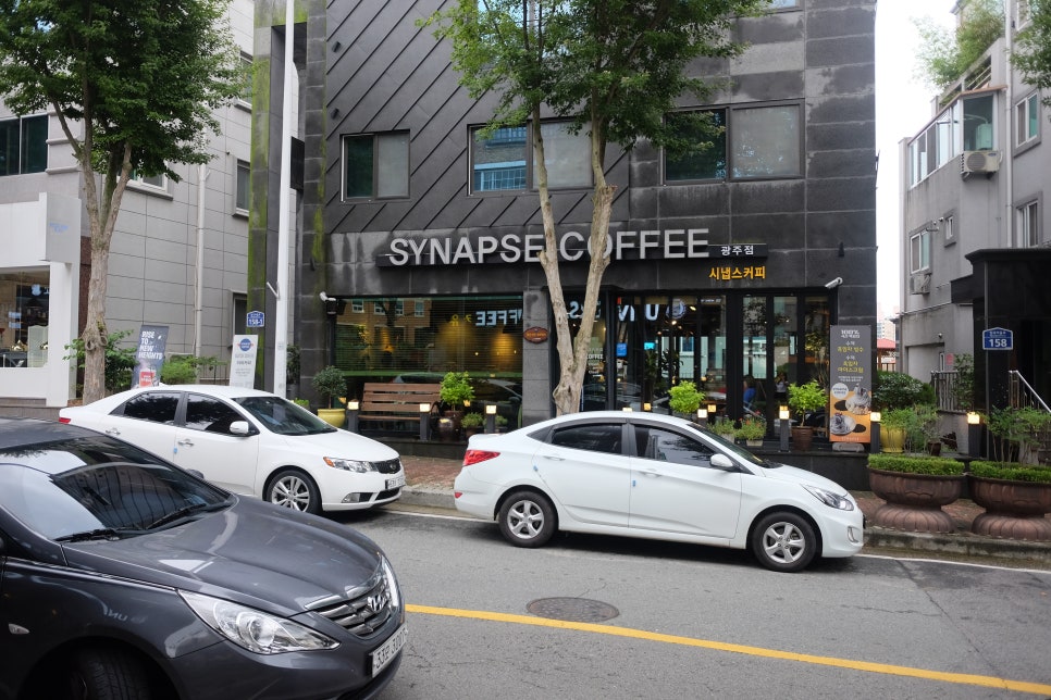 시냅스커피 이미지