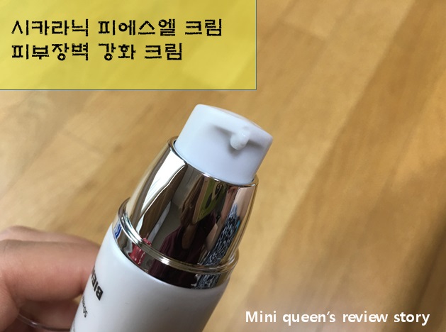 피에스엘 이미지