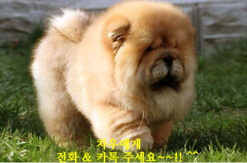 용인오디오 이미지