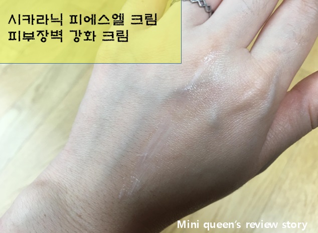 피에스엘 이미지
