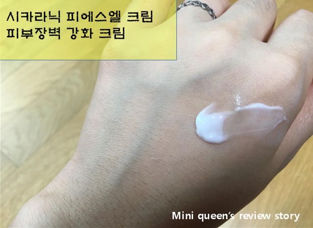 피에스엘 이미지