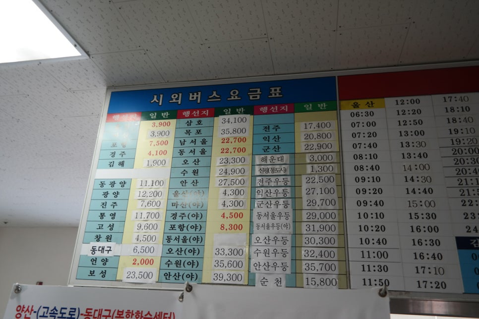 삼호버스터미널 이미지