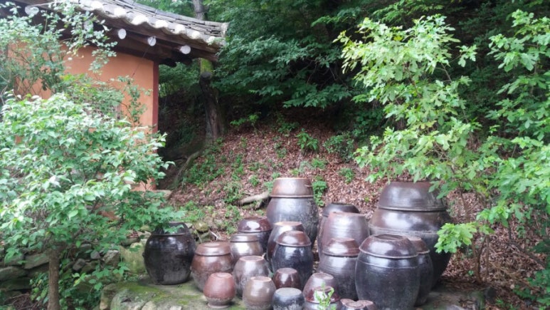 교육협동조합지식과나눔 이미지