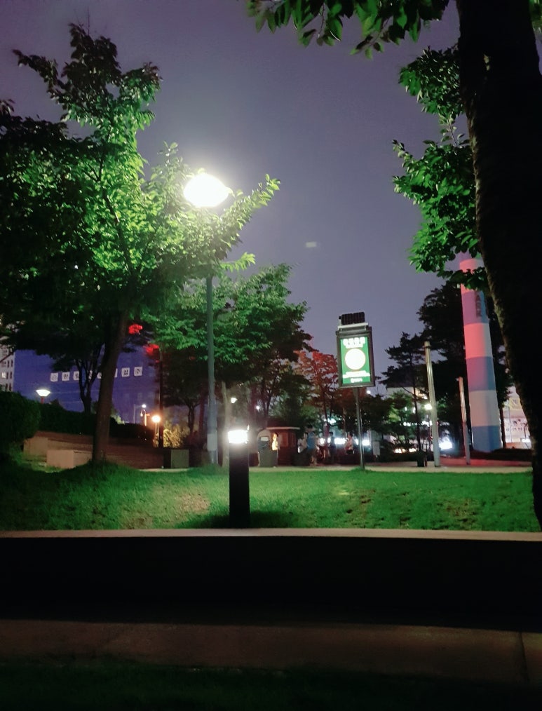 칸나블러썸 이미지