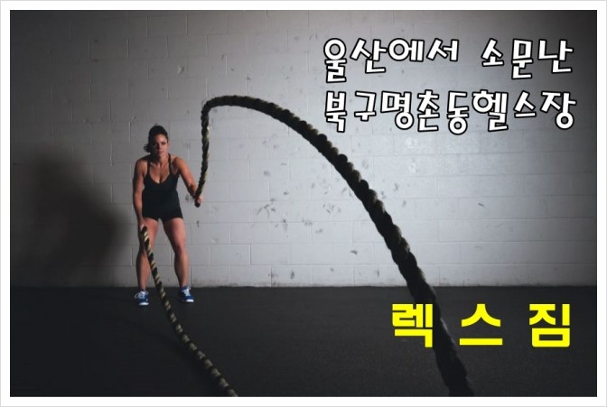 달렉스 이미지