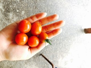 산울림민박 이미지
