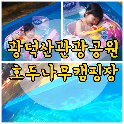 광덕산관광농원호두나무캠핑장 이미지