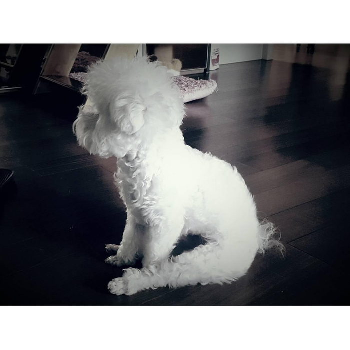 쁘아샵 이미지