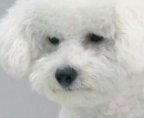 자매상회 이미지