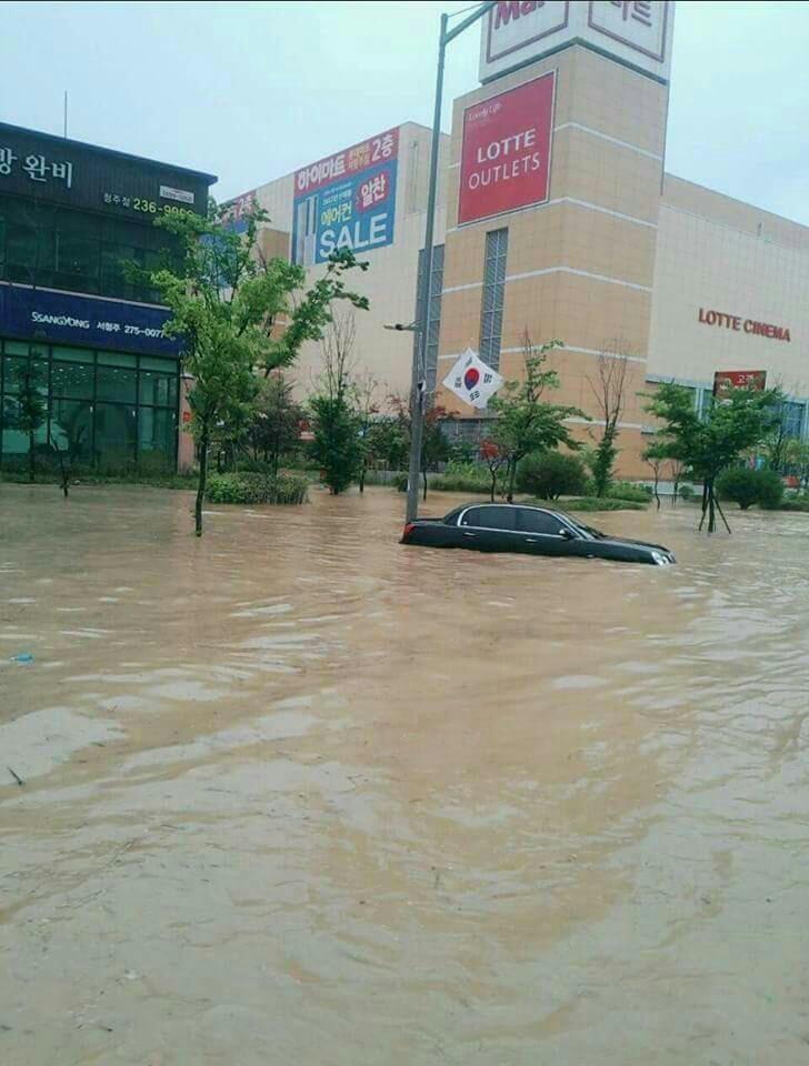 가나클린 이미지