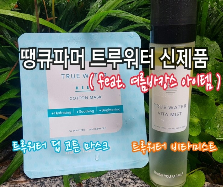 템파머 이미지