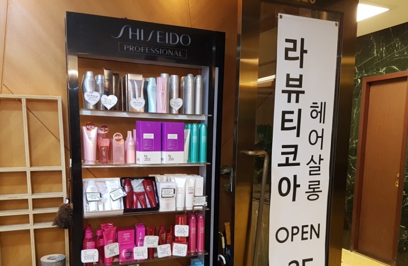 펠로살롱 이미지