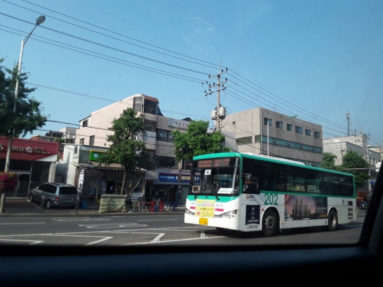 사노리안말 이미지