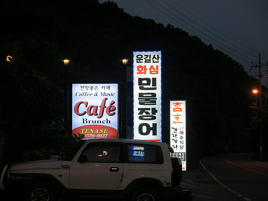 화심장어 이미지