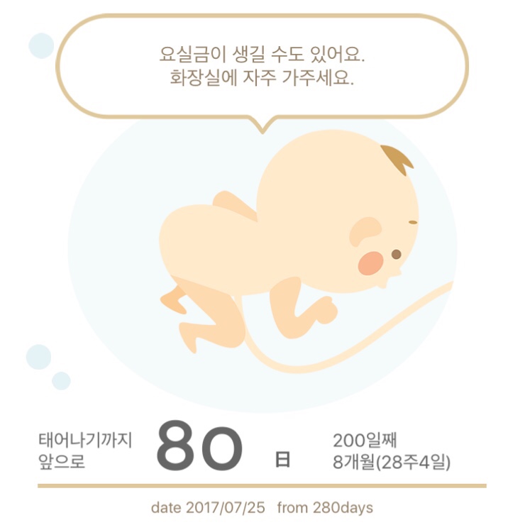 바니네일 이미지