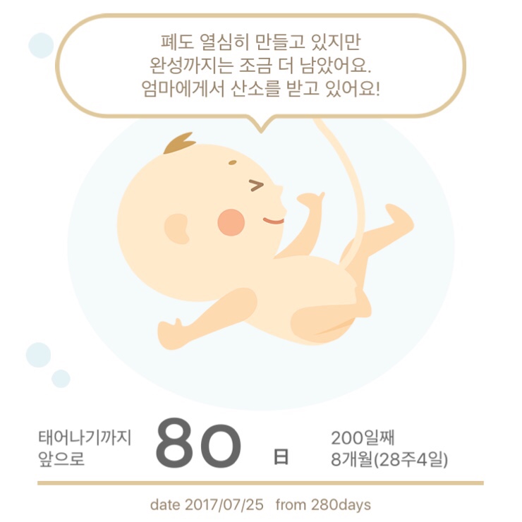바니네일 이미지