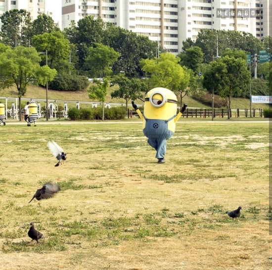 화연 이미지