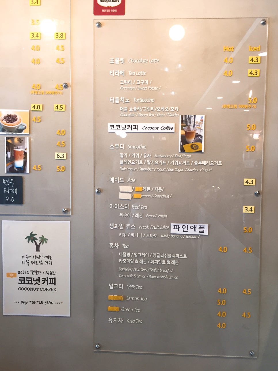 터틀빈 이미지
