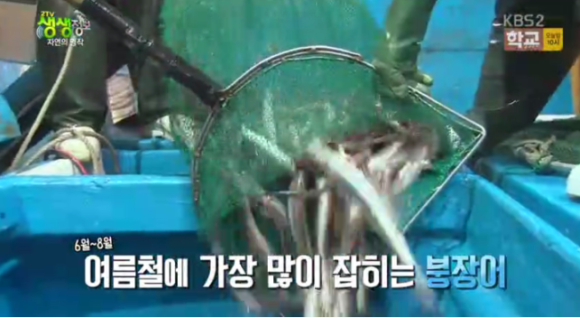 용남장어숯불구이 이미지